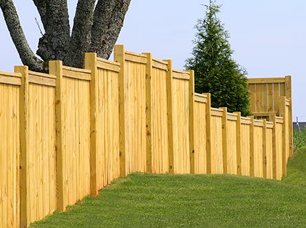 Wood Fence in Orlando